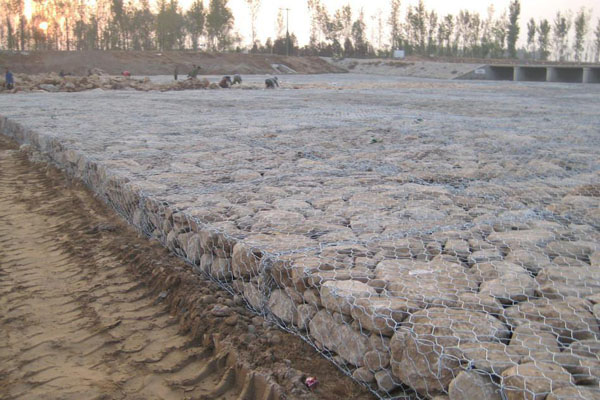 雙隔板雷諾護墊 雙隔板雷諾護墊