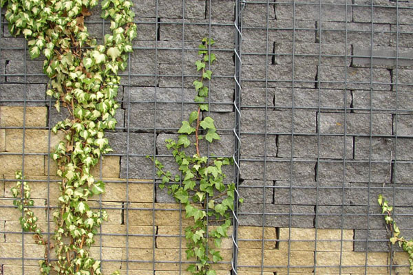 石籠景觀 石籠景觀