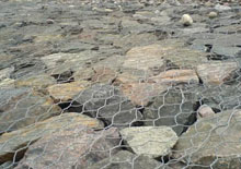 成功案例 成功案例