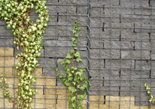 成功案例-9 成功案例-9