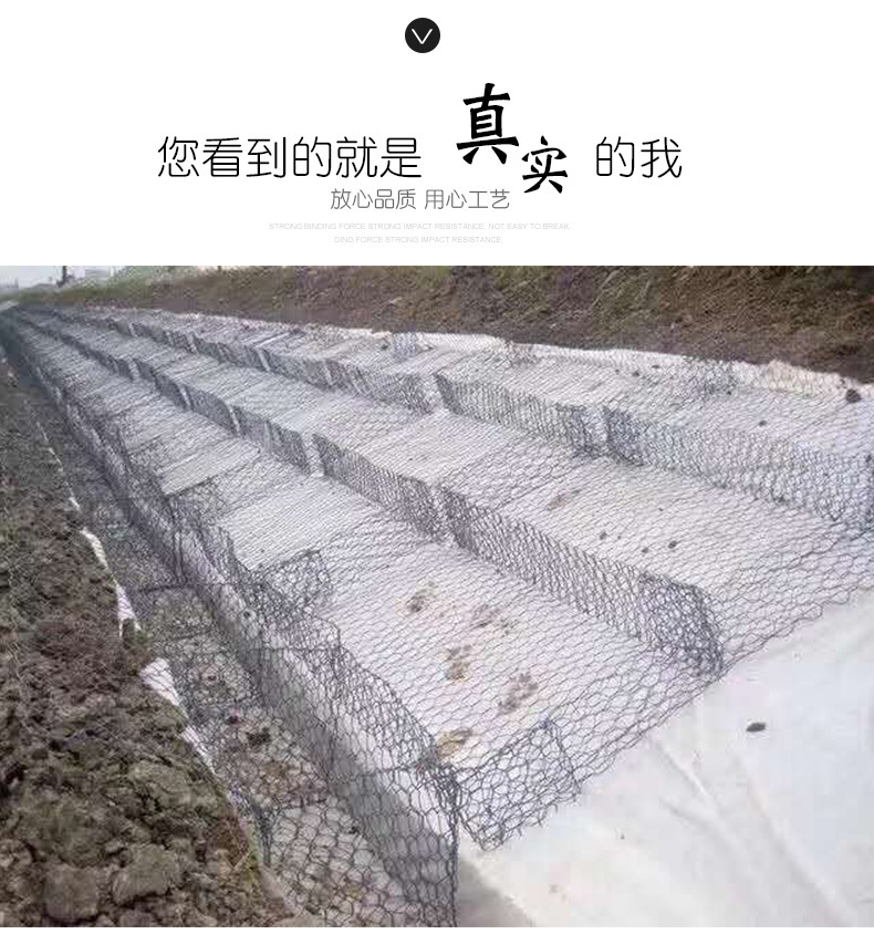 格賓網實拍照片